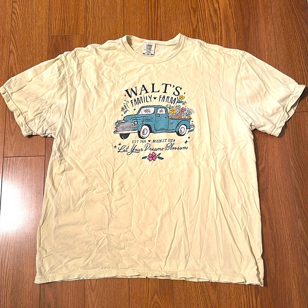 PixieLee Disney themed shirt